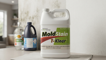 Bleach vs Vinegar vs Enzymes for Mold: What Actually Works