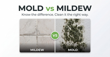 Mold vs Mildew: What's the Difference, and Does It Change How You Clean?