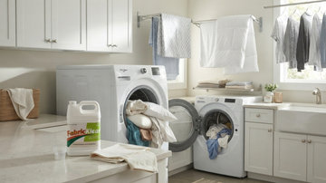 Getting Mold and Mycotoxins Out of Clothing and Bedding