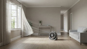 How Long Should You Stay Out of the House After Mold Remediation?
