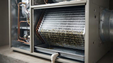 What Is Biofilm and Why Does It Matter in HVAC?