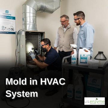 Mold in HVAC System: Health Risks & Signs