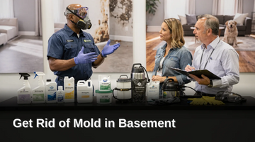 Proper preparation determines whether basement mold removal succeeds or spreads spores further through the home