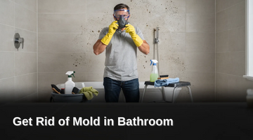 What Do You Need Before Removing Bathroom Mold, Get Rid of Mold in Bathroom